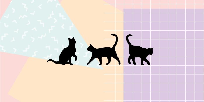 2395x2397 Black cat desktop wallpaper – Make and Tell