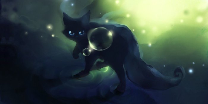 1920x1080 Anime Black Cat Wallpaper Desktop Wallpapers Hd Images - Cute