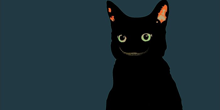 2560x1440 Black Cat Wallpaper | 2560x1440 | ID:24860