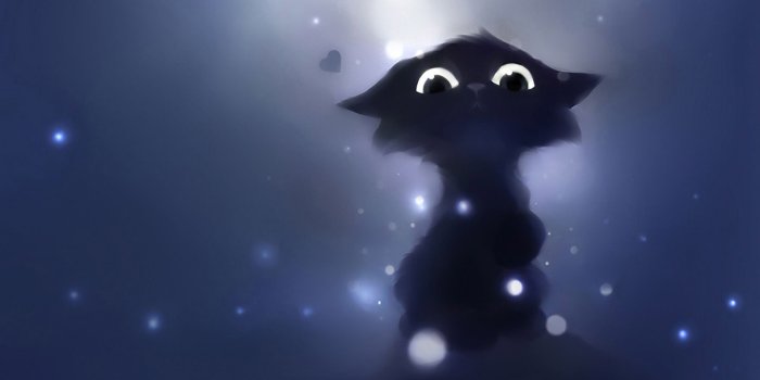 1920x1080 Wallpaper Black Cat on WallpaperGet.com