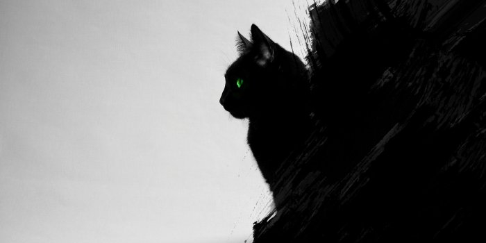 2560x1600 Cat Art Wallpaper Lovely Anime Cat Desktop Wallpaper This Year