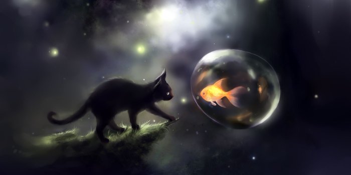 1920x1080 cats black cat fish deviantart artwork apofiss 1920x1080 wallpaper