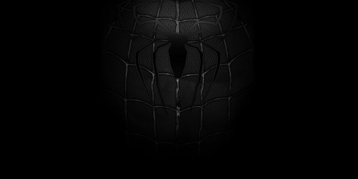 1920x1200 26+] Dark Spider-Man Wallpapers on WallpaperSafari