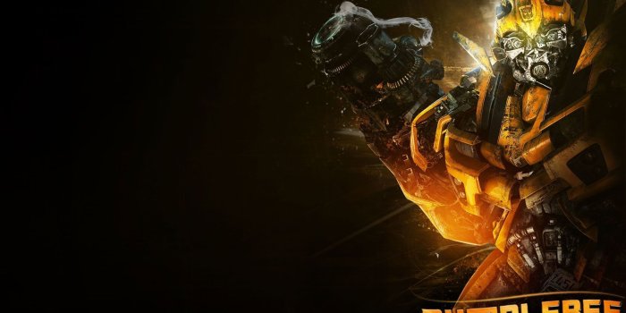 1920x1200 60+ Bumblebee Wallpapers on WallpaperPlay