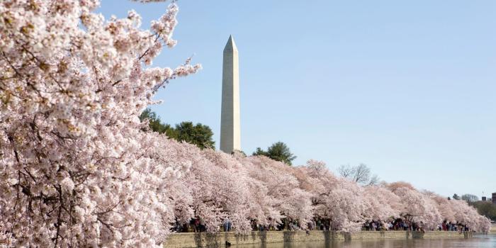 1600x1000 Best 41+ Washington D.C. Backgrounds on HipWallpaper | Washington