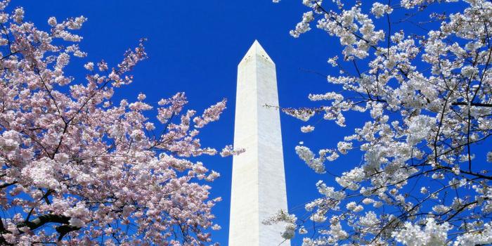 1920x1200 Washington Monument wallpapers - Crazy Frankenstein