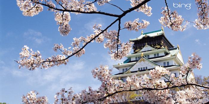 3840x2160 Cherry Blossom Desktop Wallpaper posted by Ryan Sellers