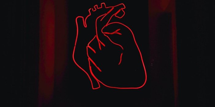 1000x1778 Neon Wallpapers: Free HD Download [500+ HQ] | Unsplash