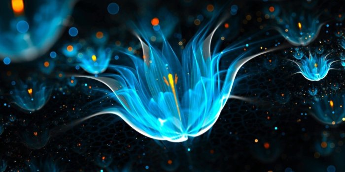 1920x1080 Neon Wallpapers for Desktop Background (77+ images)