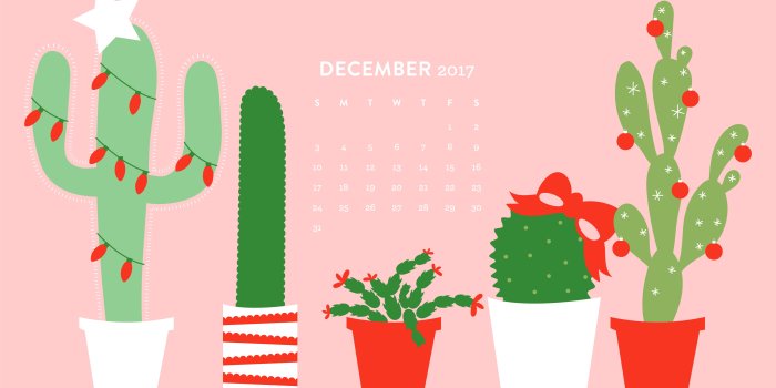 5334x3001 December 2017 Christmas Cactus Calendar Wallpaper - Sarah Hearts