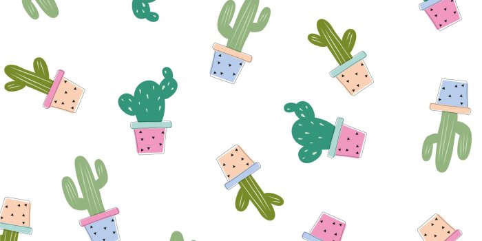 1901x1203 Cactus desktop wallpaper – Make and Tell