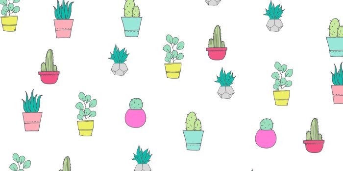2400x1600 FREE CACTUS AND SUCCULENT WALLPAPERS FOR YOUR DESKTOP, TABLET AND