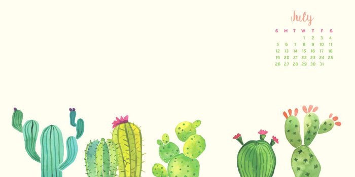 1280x720 Cute Cactus Desktop Background - 1280x720 Wallpaper - Ecopetit.cat