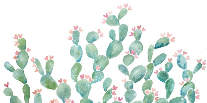 2048x1375 February Desktop Mobile Wallpaper Download - Desktop Background