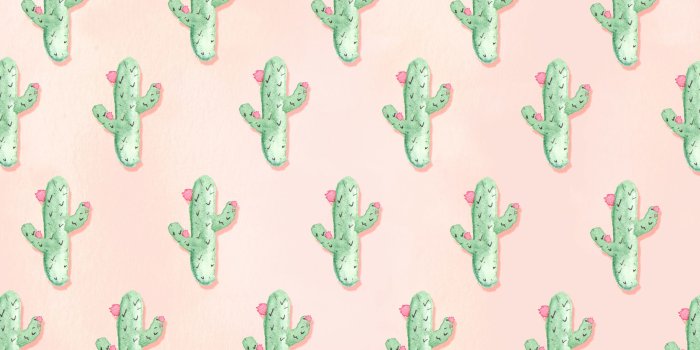 2560x1600 2400x1603, Download Cactus Desktop Wallpaper - Cute Summer