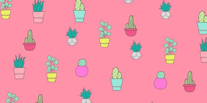 2400x1600 FREE CACTUS AND SUCCULENT WALLPAPERS FOR YOUR DESKTOP, TABLET AND