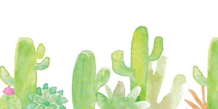 2560x1440 Cutesy Cacti Computer Backgrounds — jenna mayhew