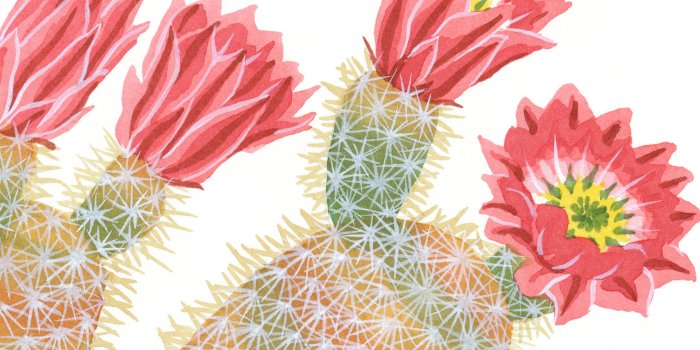 1920x1200 Welcome, and thank you! – Chandler O'Leary