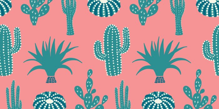 1856x1162 KICKEE Desktop Wallpaper — KicKee Pants