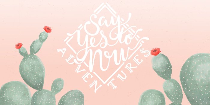 2560x1600 Cactus Desktop Backgrounds posted by John Simpson