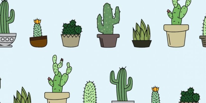 820x1517 Desktop Wallpaper Cactaceae Succulent Plant Home Screen Wallpaper