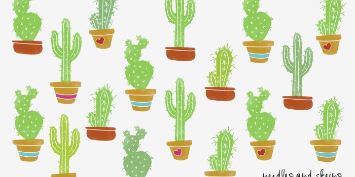 1920x1200 Cactus Wallpaper (52+ images)