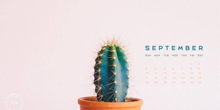 1920x1080 September Desktop Calendar Cactus - 1920x1080 Wallpaper - Ecopetit.cat