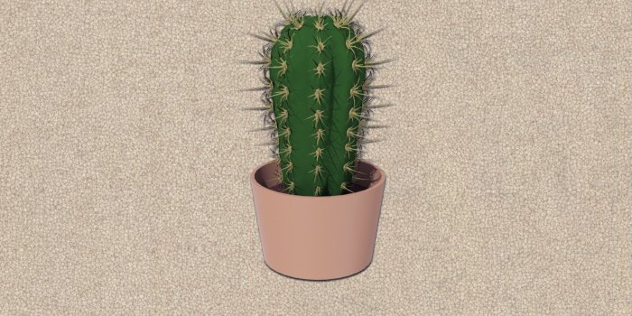 1920x1080 Cactus HD Desktop Wallpaper 30184 - Baltana