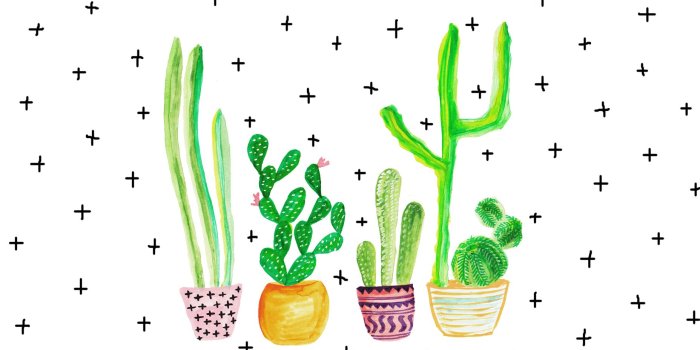1856x1161 Best 57+ Cactus Wallpaper on HipWallpaper | Cactus Wallpaper Boho