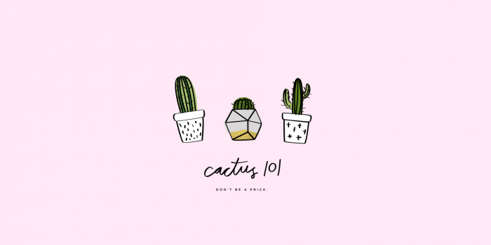 1920x1080 Free download cactus desktop wallpaper Craftbnb [1933x1095] for