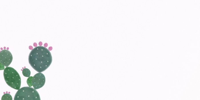 1920x1200 Cactus wallpaper ·① Download free beautiful wallpapers for