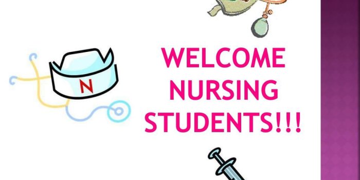1024x768 PPT - Welcome nursing students!!! PowerPoint Presentation, free