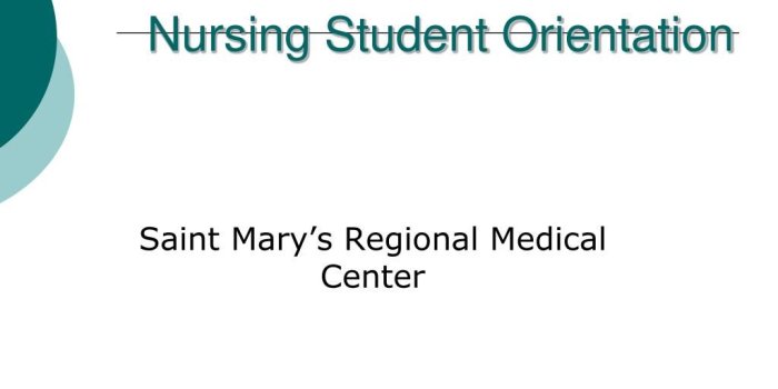 1024x768 PPT - Nursing Student Orientation PowerPoint Presentation, free