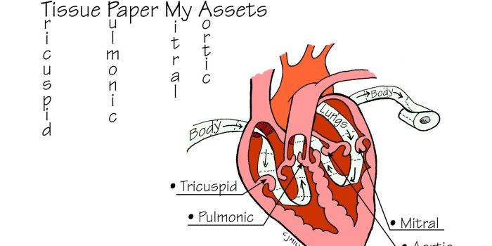 1600x1200 Nursing School: Medical Surgical Nursing Mnemonics