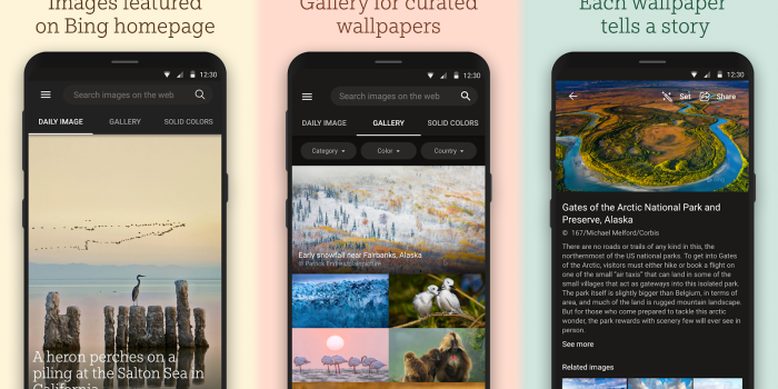 1600x900 Bing Wallpapers app launches with daily updates to your background