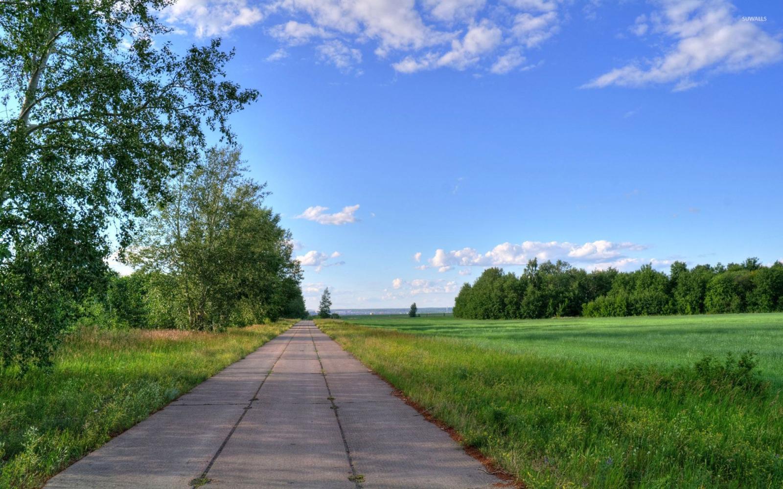 1920x1200 Sunny summer day wallpaper - Nature wallpapers - #40954