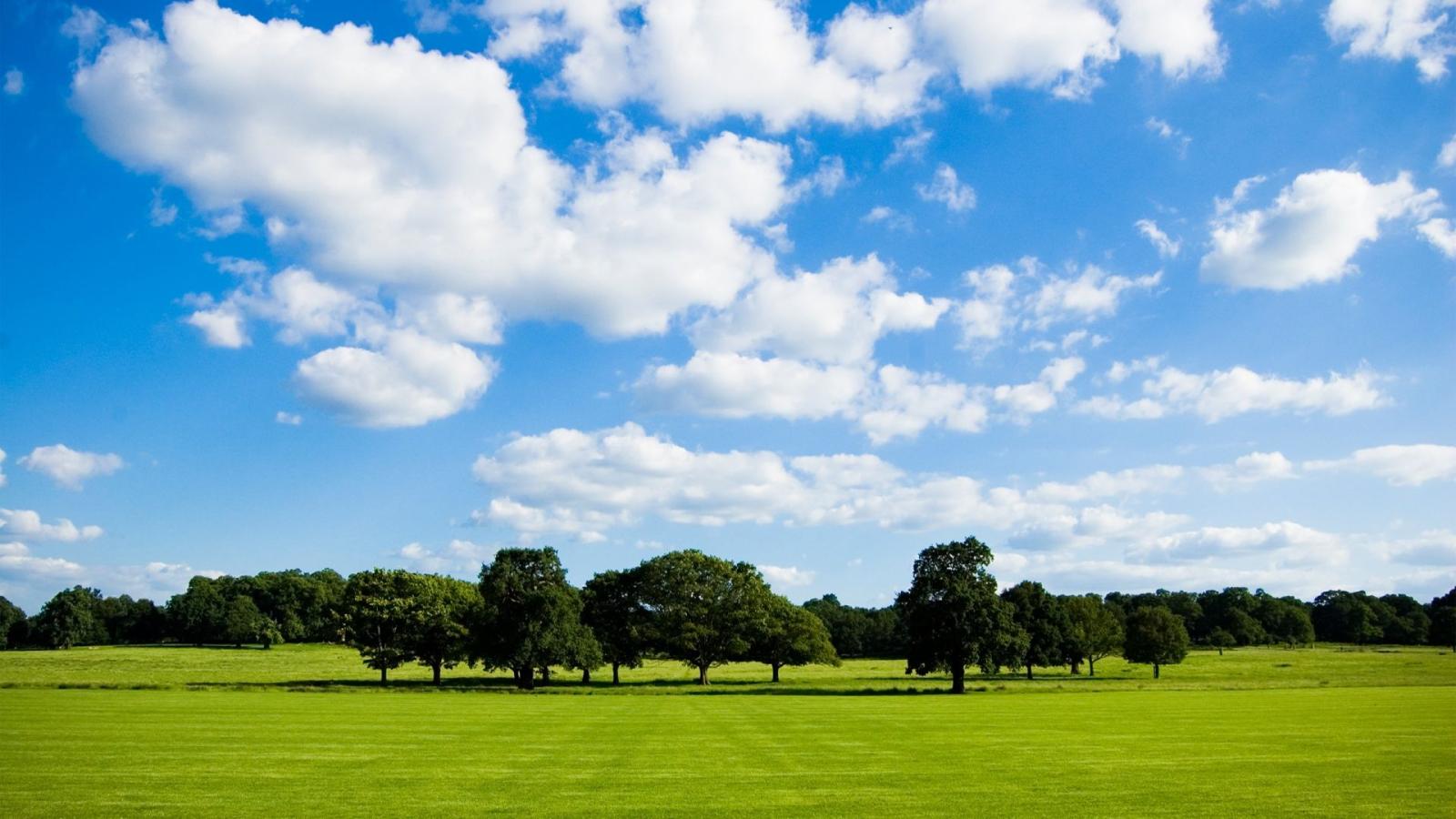 1920x1080 Summer day landscape full screen wallpaper