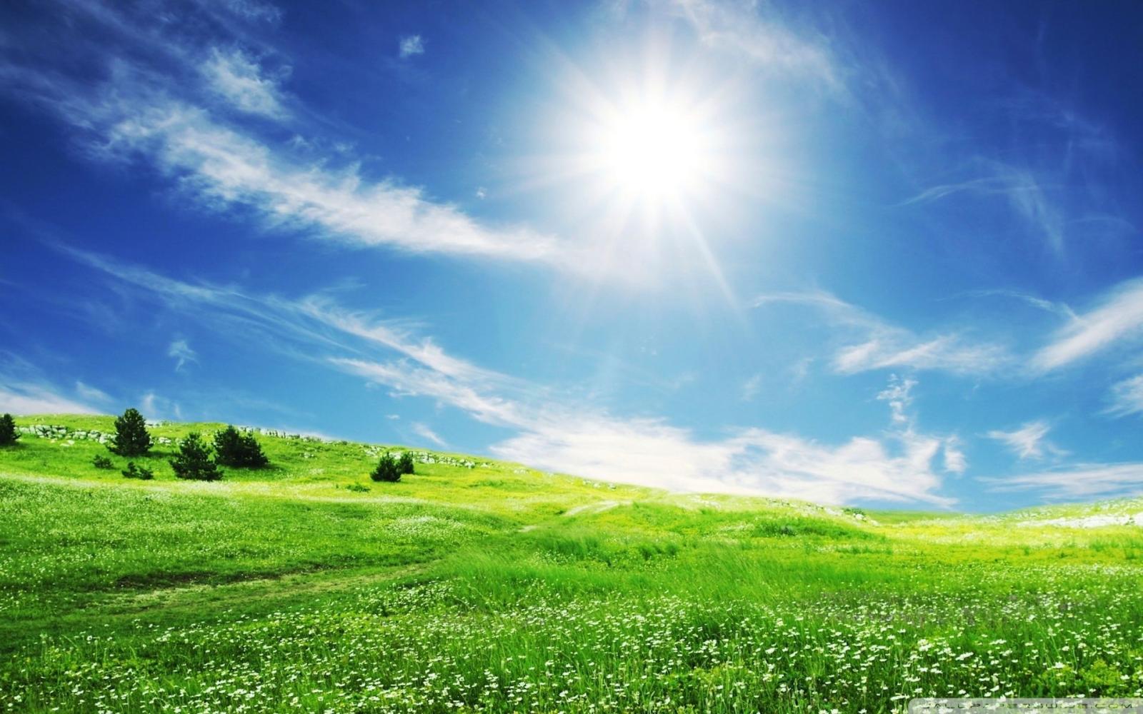 1920x1200 Free download Summer Day 4K HD Desktop Wallpaper for 4K Ultra HD