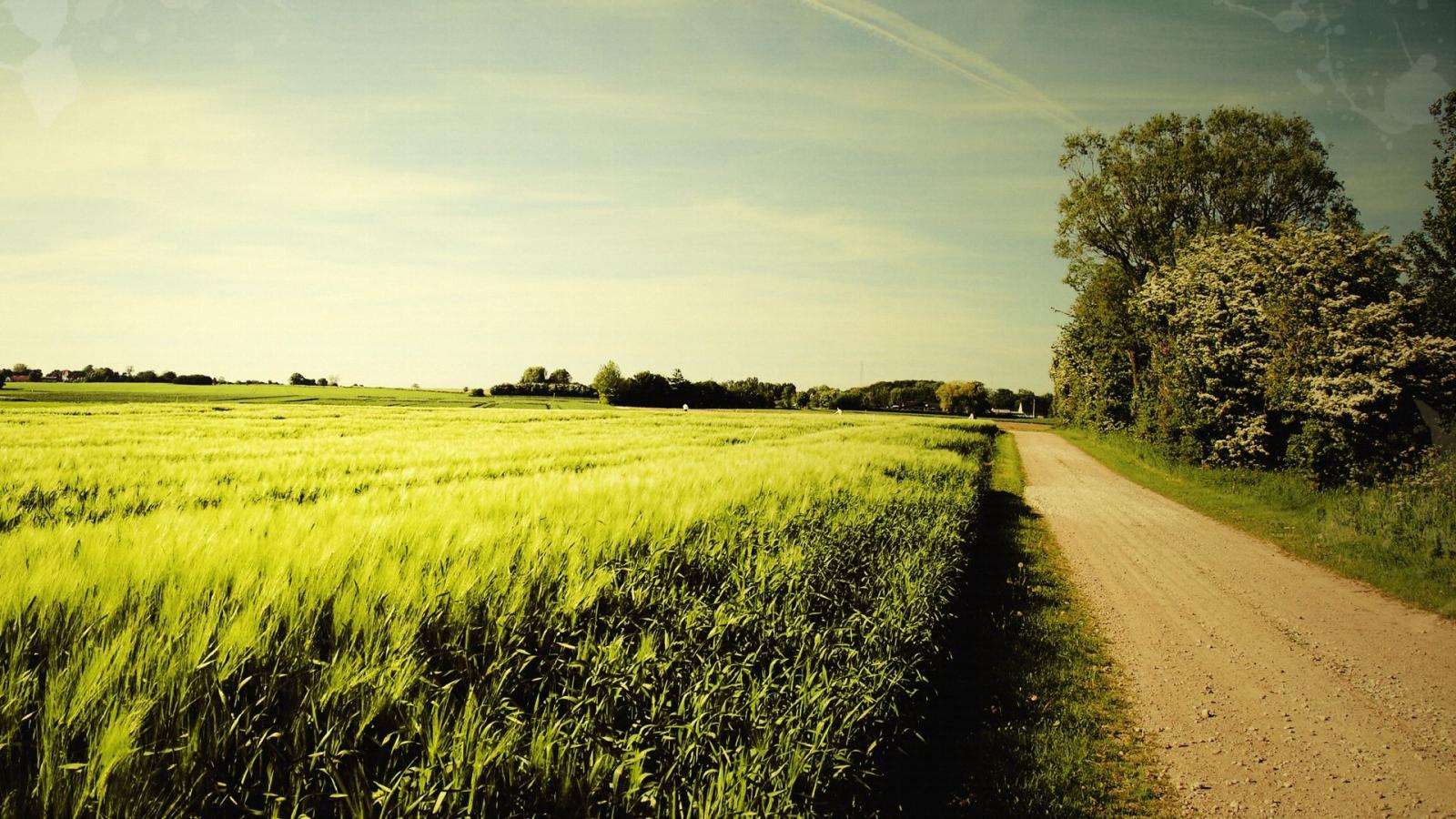 1920x1080 Nice Wallpaper Download-14 - Nice Summer Day (#151092) - HD