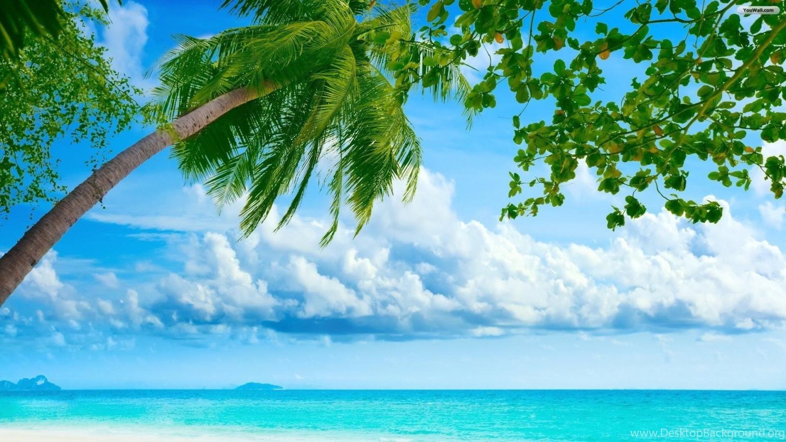 1920x1080 YouWall Summer Day Wallpapers Wallpaper,wallpapers,free