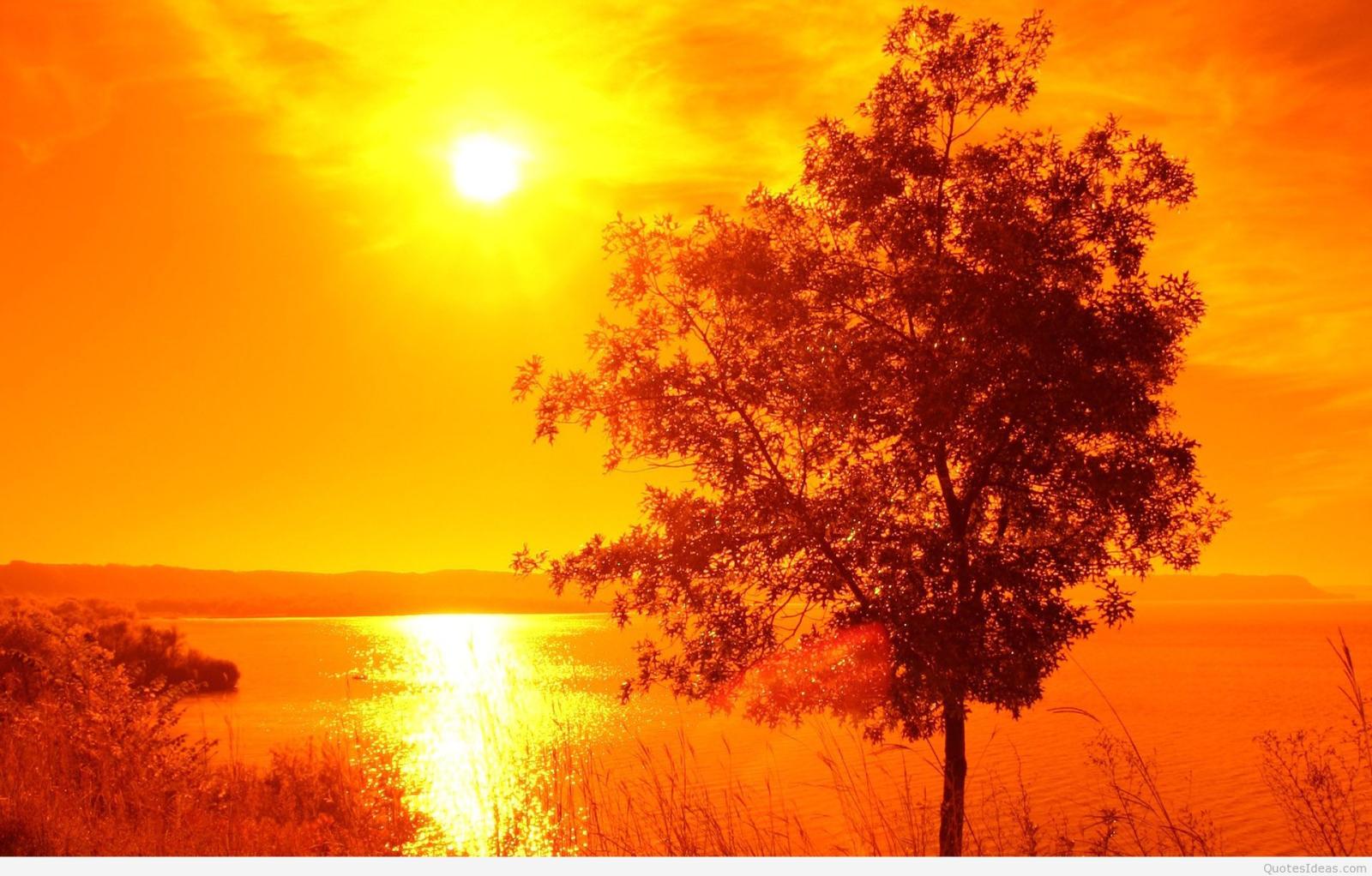 1920x1227 S:1070153398, Summer day | wallpaper v.6.5 jpeg