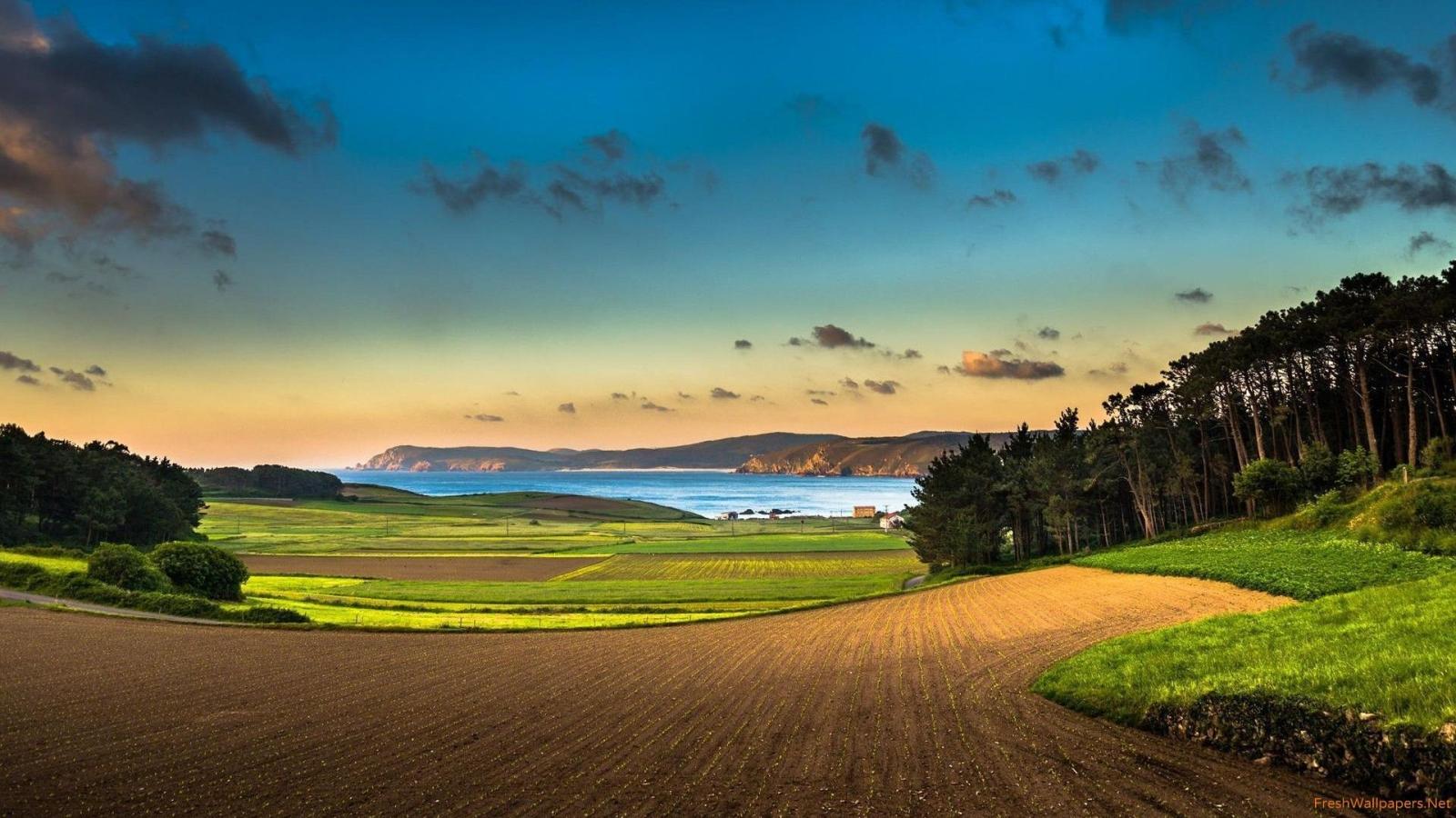 1920x1080 Sunset on a summer day wallpapers | Freshwallpapers