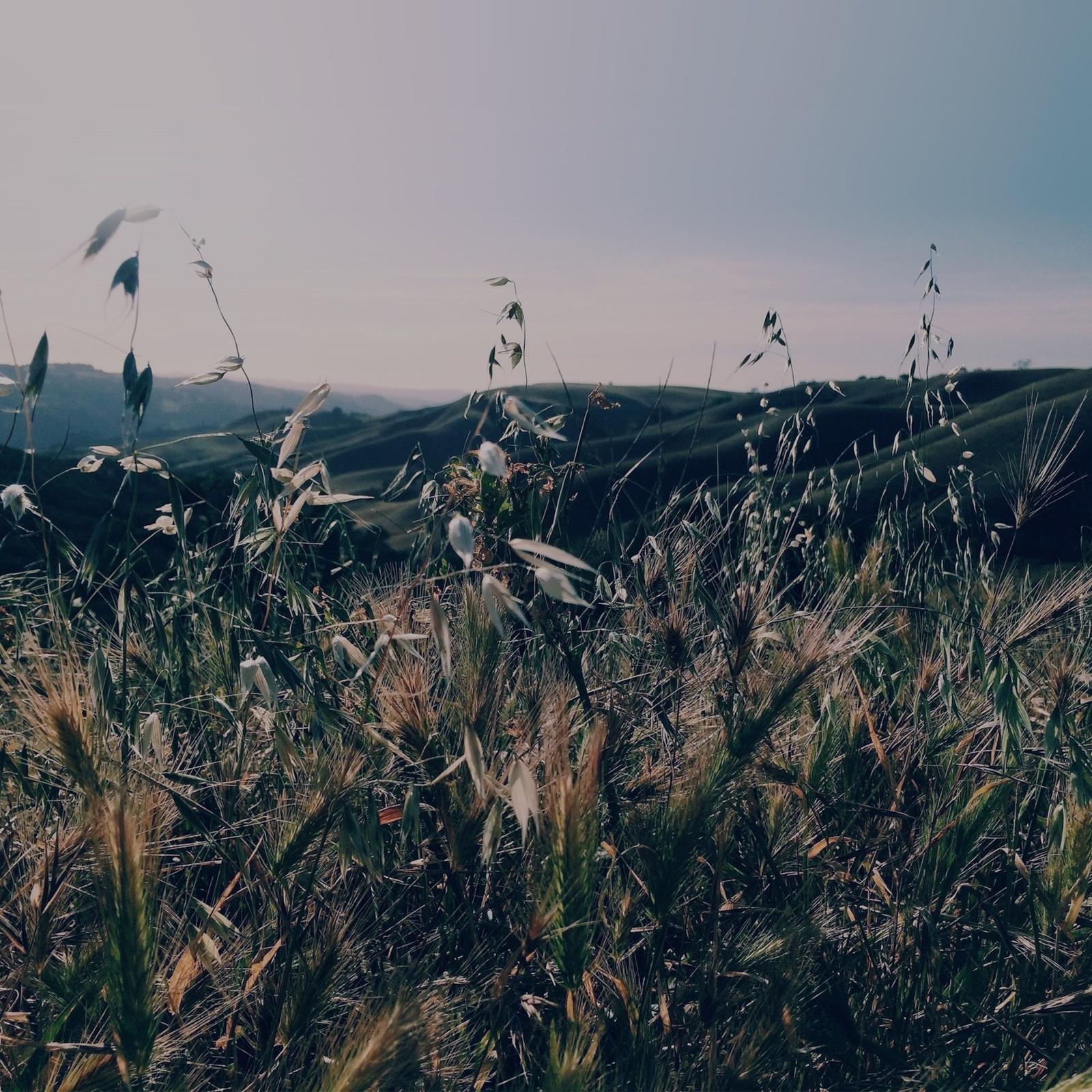 2732x2732 my80-sunny-summer-day-green-grass-nature-mountain-blue-wallpaper