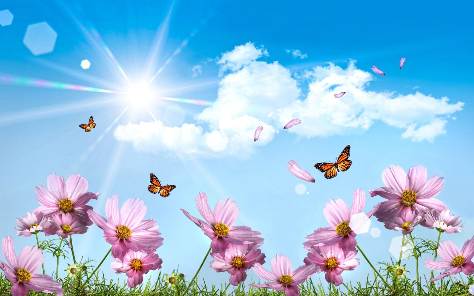 2560x1600 Dream Summer 2012 - beautiful summer day (for cherie) Wallpapers