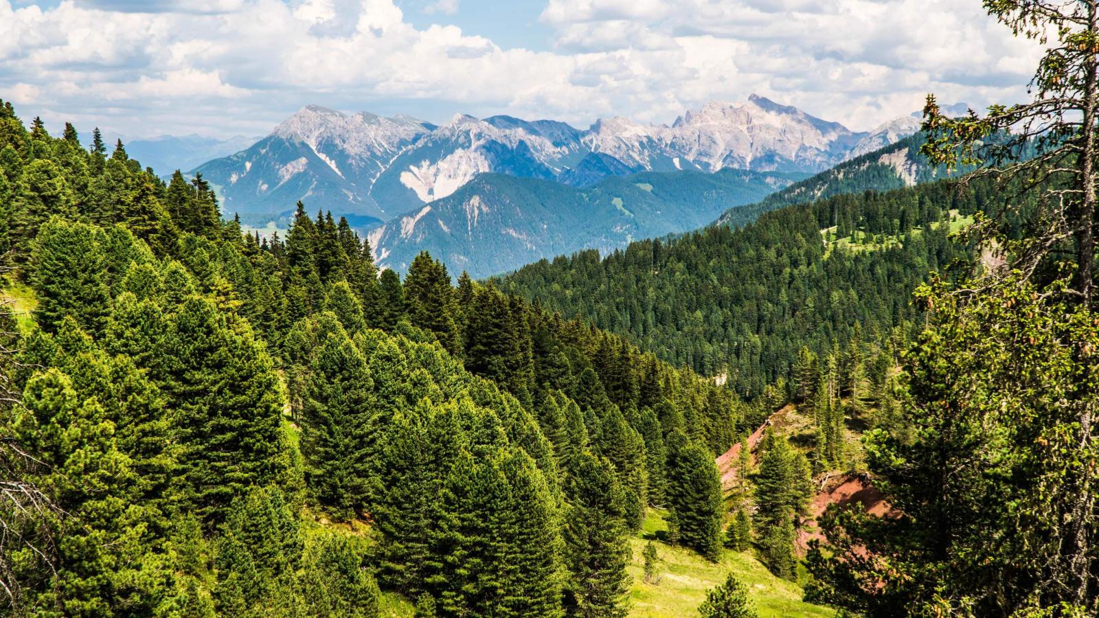 3840x2160 The Most Peaceful Summer Day in the Swiss Alps 4K wallpaper