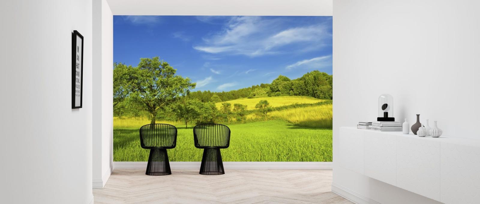 2000x850 Sunny Summer Day – high-quality wall murals with free US delivery