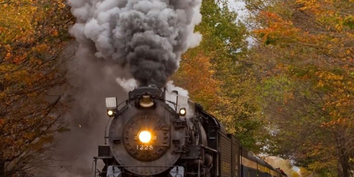 768x1024 Vehicles Train Fall Locomotive Railroad | Steam engine trains