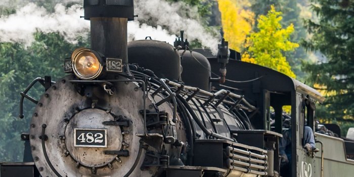 1280x2120 Download 1280x2120 wallpaper steam engine, train, forest, railroad