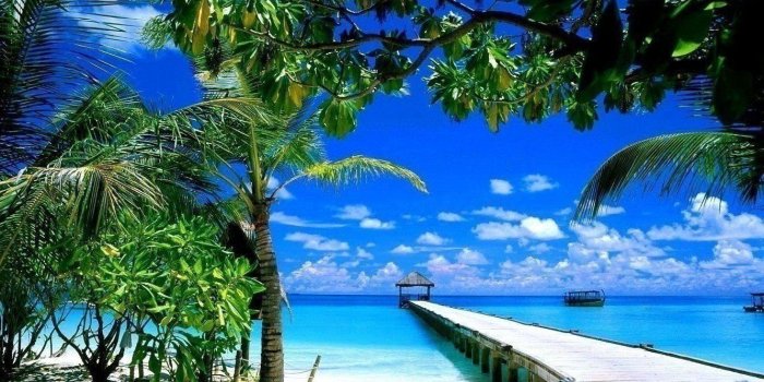 1333x1000 Florida Beach Desktop Wallpapers | Maldives resort, Florida