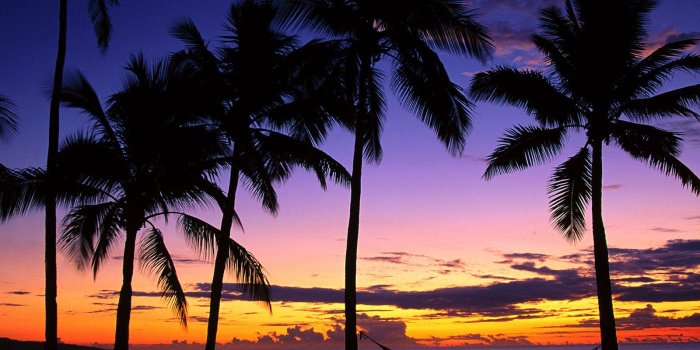 1600x1200 Tip of the Week: Spring Break Tips - NOVACares